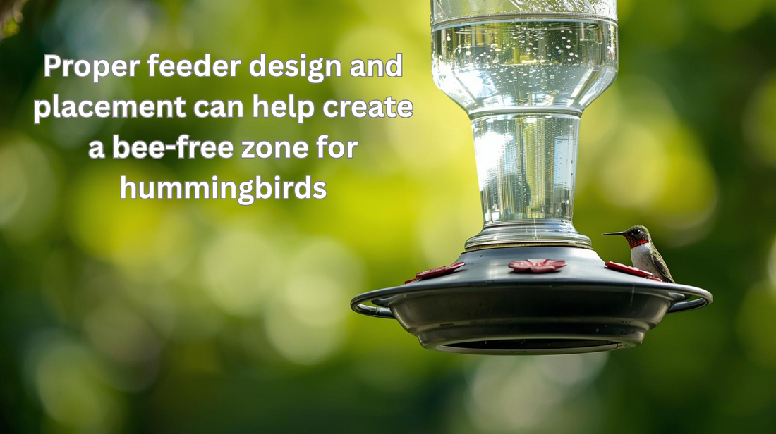 How to Keep Bees Away from Hummingbird Feeders: A Complete Bee-Safe Guide