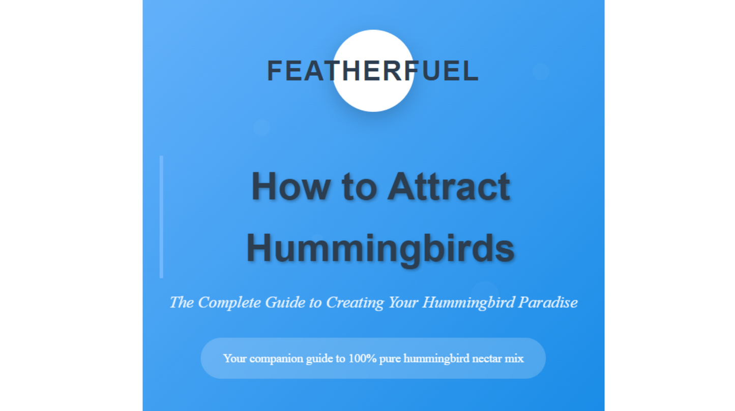 How to Attract Hummingbirds-FeatherFuel