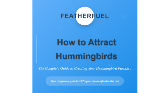 How to Attract Hummingbirds-FeatherFuel